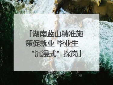 湖南蓝山精准施策促就业 毕业生“沉浸式”探岗