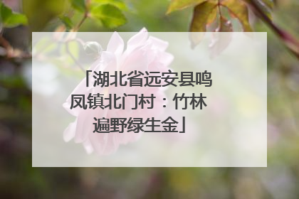 湖北省远安县鸣凤镇北门村：竹林遍野绿生金