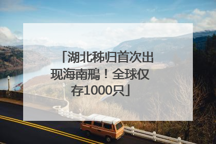 湖北秭归首次出现海南鳽！全球仅存1000只
