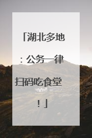 湖北多地：公务一律扫码吃食堂！