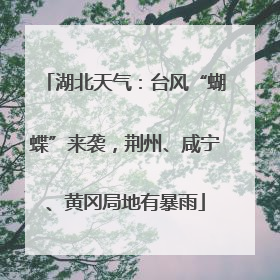 湖北天气：台风“蝴蝶”来袭，荆州、咸宁、黄冈局地有暴雨