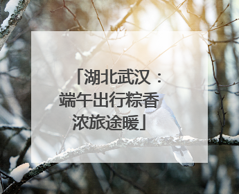 湖北武汉：端午出行粽香浓旅途暖