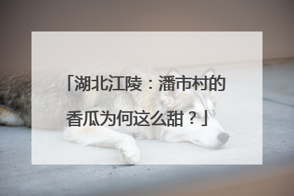 湖北江陵：潘市村的香瓜为何这么甜？