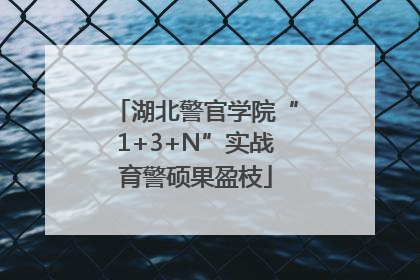 湖北警官学院“1+3+N”实战育警硕果盈枝