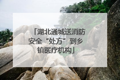 湖北通城送消防安全“处方”到乡镇医疗机构