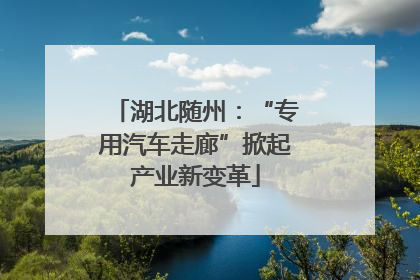 湖北随州：“专用汽车走廊”掀起产业新变革
