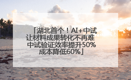 湖北首个！AI+中试让材料成果转化不再难 中试验证效率提升50%成本降低60%