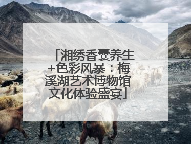 湘绣香囊养生+色彩风暴：梅溪湖艺术博物馆文化体验盛宴