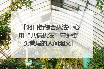 湘口街综合执法中心用“共情执法”守护街头巷尾的人间烟火
