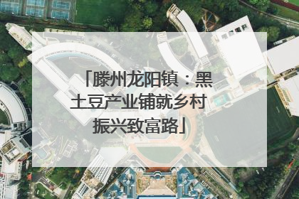 滕州龙阳镇：黑土豆产业铺就乡村振兴致富路