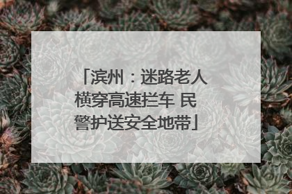 滨州：迷路老人横穿高速拦车 民警护送安全地带