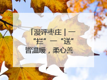 漫评枣庄｜一“拦”一“送”皆温暖，柔心善意映枣城
