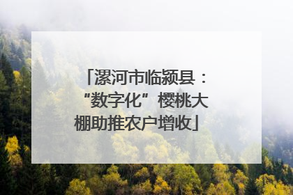 漯河市临颍县：“数字化”樱桃大棚助推农户增收