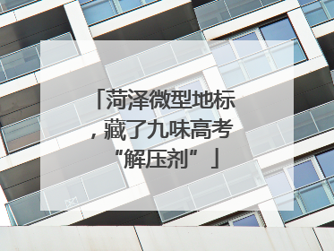 菏泽微型地标，藏了九味高考“解压剂”