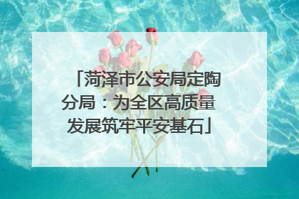 菏泽市公安局定陶分局：为全区高质量发展筑牢平安基石