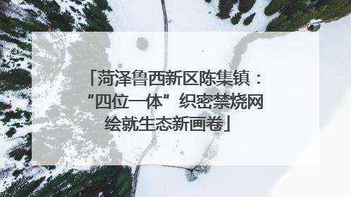菏泽鲁西新区陈集镇：“四位一体”织密禁烧网 绘就生态新画卷