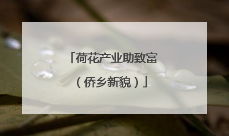 荷花产业助致富（侨乡新貌）