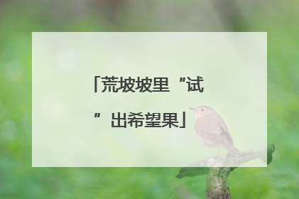 荒坡坡里“试”出希望果