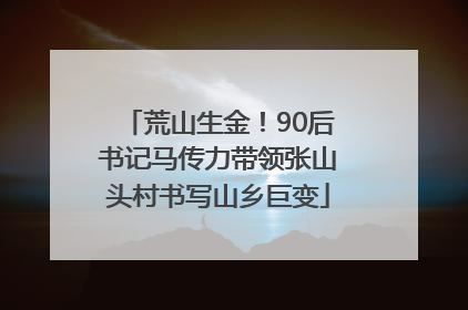 荒山生金！90后书记马传力带领张山头村书写山乡巨变