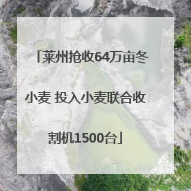 莱州抢收64万亩冬小麦 投入小麦联合收割机1500台