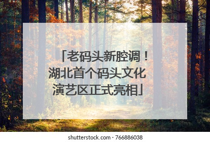 老码头新腔调！湖北首个码头文化演艺区正式亮相
