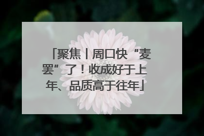 聚焦丨周口快“麦罢”了！收成好于上年、品质高于往年