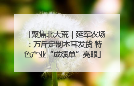 聚焦北大荒｜延军农场：万斤定制木耳发货 特色产业“成绩单”亮眼