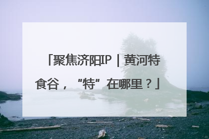 聚焦济阳IP｜黄河特食谷，“特”在哪里？