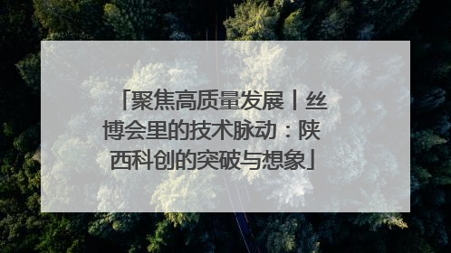 聚焦高质量发展丨丝博会里的技术脉动：陕西科创的突破与想象