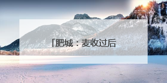 肥城：麦收过后秸秆有“新生”
