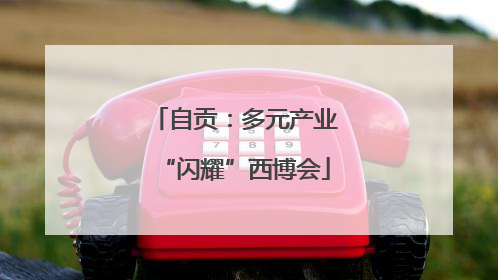 自贡：多元产业“闪耀”西博会