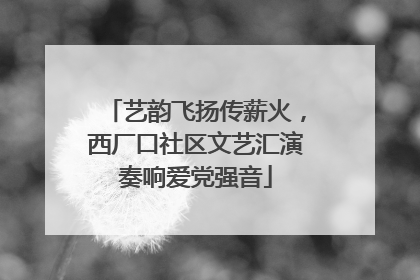 艺韵飞扬传薪火，西厂口社区文艺汇演奏响爱党强音