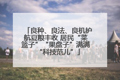 良种、良法、良机护航夏粮丰收 居民“菜篮子”“果盘子”满满“科技范儿”