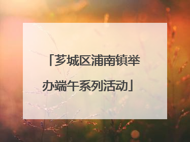 芗城区浦南镇举办端午系列活动