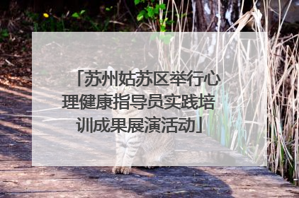 苏州姑苏区举行心理健康指导员实践培训成果展演活动