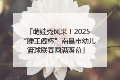 萌娃秀风采！2025“滕王阁杯”南昌市幼儿篮球联赛圆满落幕