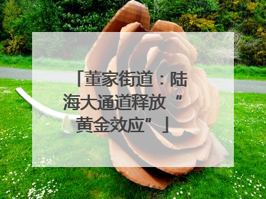 董家街道：陆海大通道释放“黄金效应”
