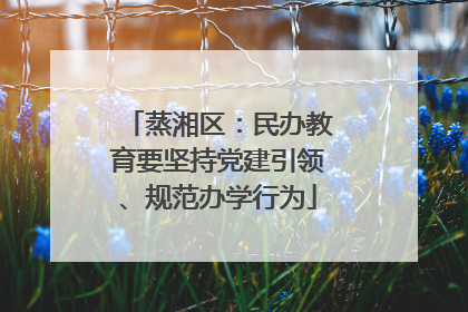 蒸湘区：民办教育要坚持党建引领、规范办学行为