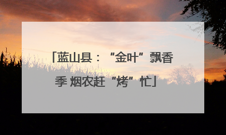 蓝山县：“金叶”飘香季 烟农赶“烤”忙
