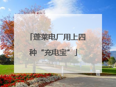 蓬莱电厂用上四种“充电宝”