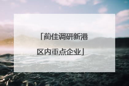 蔺佳调研新港区内重点企业