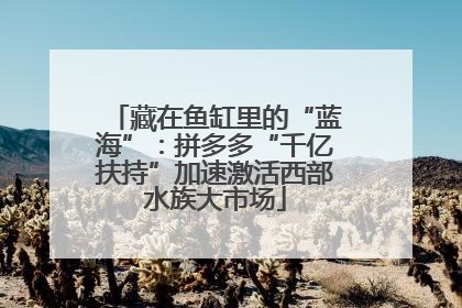 藏在鱼缸里的“蓝海”：拼多多“千亿扶持”加速激活西部水族大市场