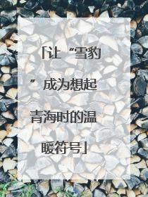 让“雪豹”成为想起青海时的温暖符号