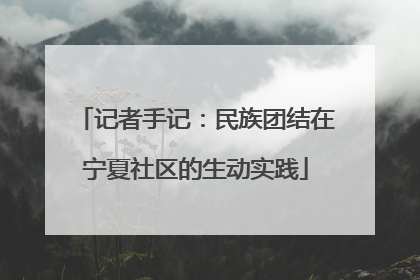 记者手记：民族团结在宁夏社区的生动实践