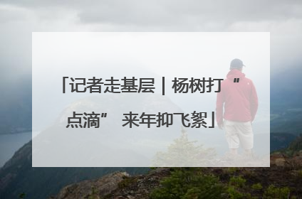 记者走基层｜杨树打“点滴” 来年抑飞絮