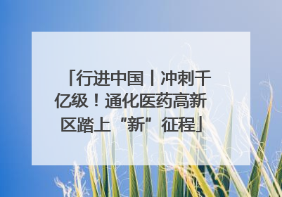 行进中国丨冲刺千亿级！通化医药高新区踏上“新”征程