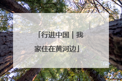 行进中国｜我家住在黄河边