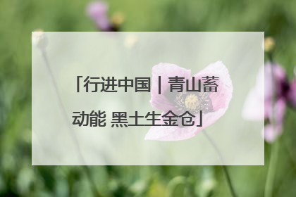 行进中国｜青山蓄动能 黑土生金仓