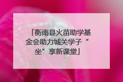 衡南县火苗助学基金会助力城关学子“坐”享新课堂