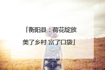 衡阳县：荷花绽放 美了乡村 富了口袋